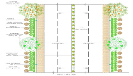 Arboriculture Scheme for Mihan Sez